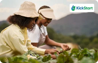How Kickstart transformed efficiency and growth with Salesmate How Kickstart transformed efficiency and growth with Salesmate