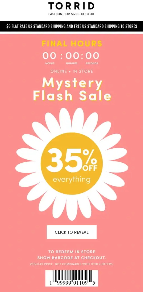 Example of Torrid's mystery flash sale